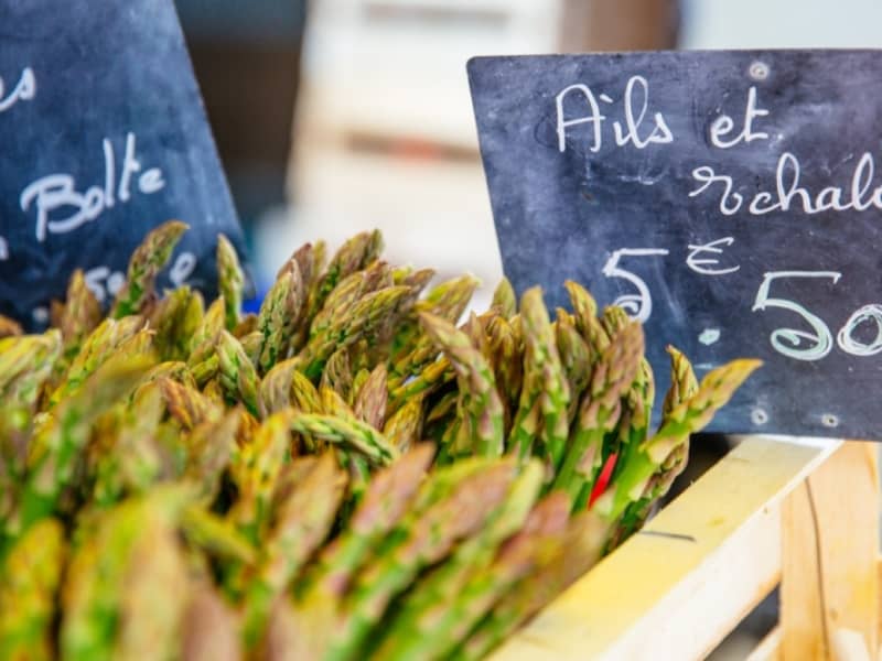 Illustration de l'événement : Marché de Captieux le lundi