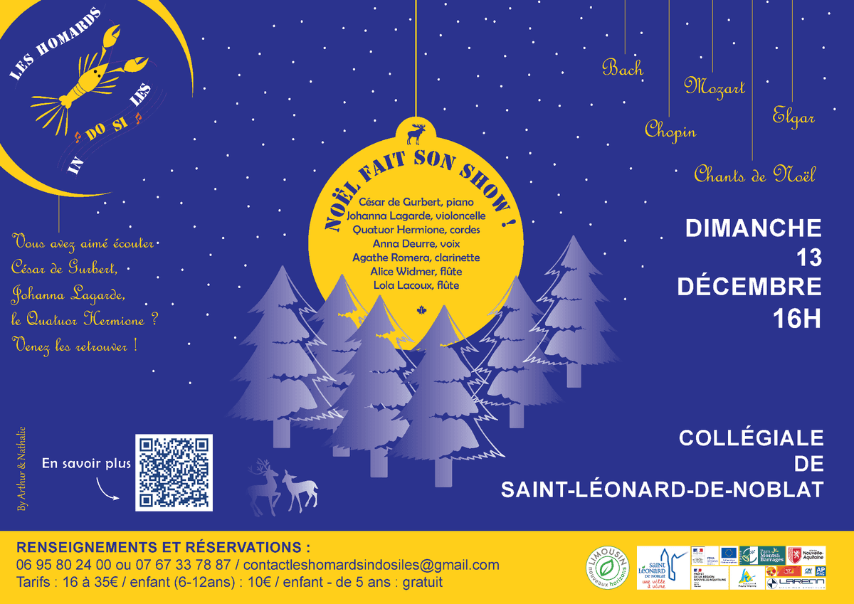 Illustration de l'événement : Noël fait son show !