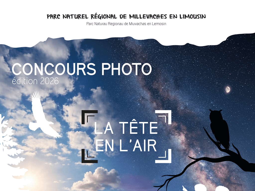 Illustration de l'événement : CONCOURS PHOTO