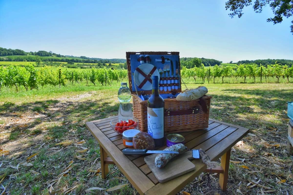 Illustration de l'événement : Pique-nique dans les vignes au Château Hostens-Picant