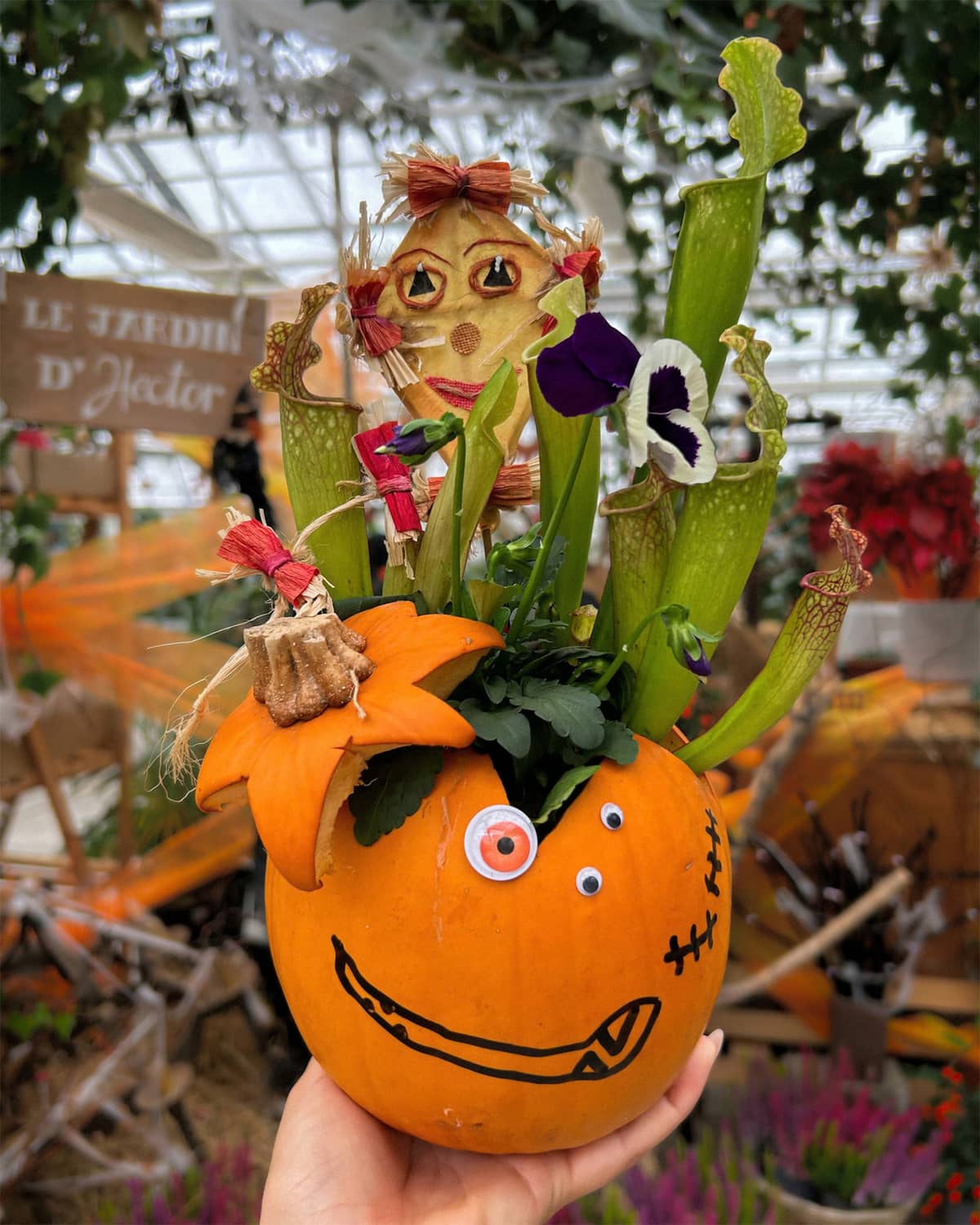 Illustration de l'événement : Ateliers enfants spécial Halloween chez Mendi - Rempotage dans une citrouille