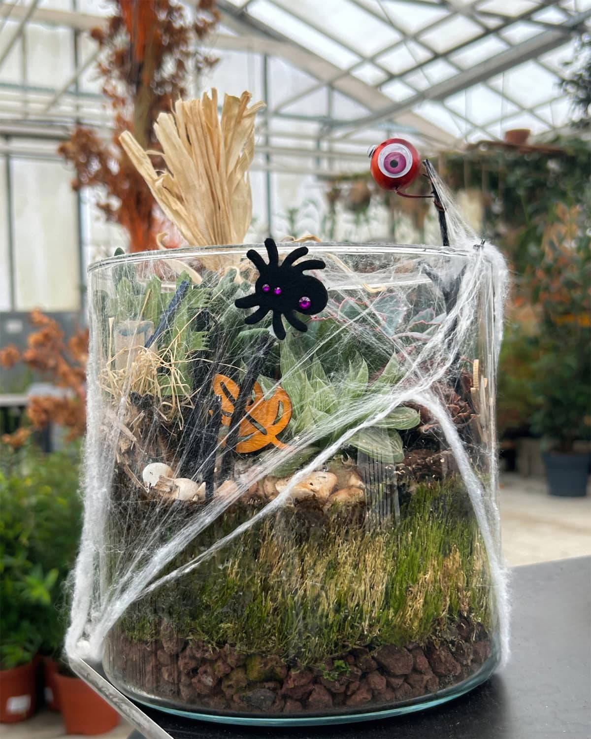 Illustration de l'événement : Ateliers enfants spécial Halloween chez Mendi - Terrarium
