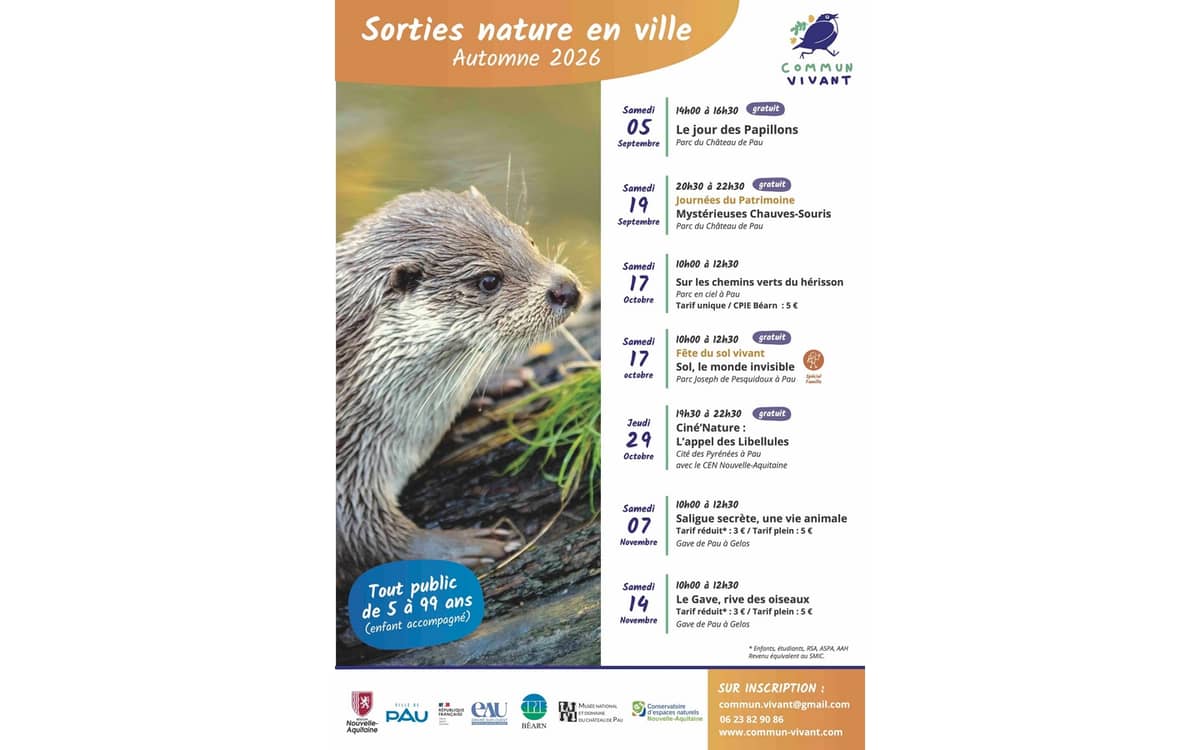 Illustration de l'événement : Sortie nature - Saligue secrète, une vie animale