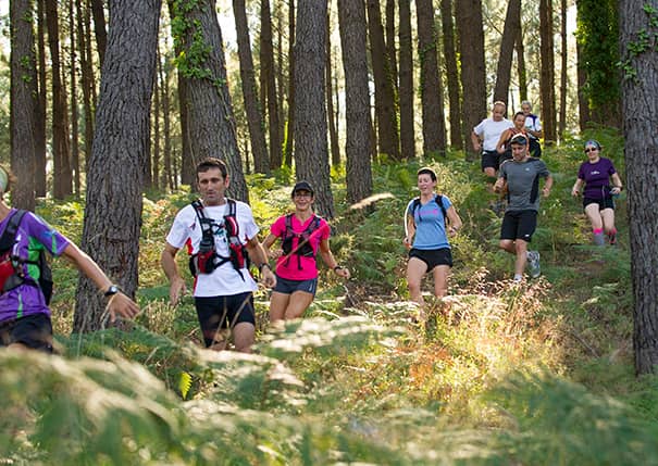 Illustration de l'événement : Trail du Marensin