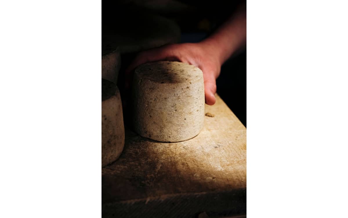Illustration de l'événement : Atelier de fabrication Tommes de Brebis ou Chèvre