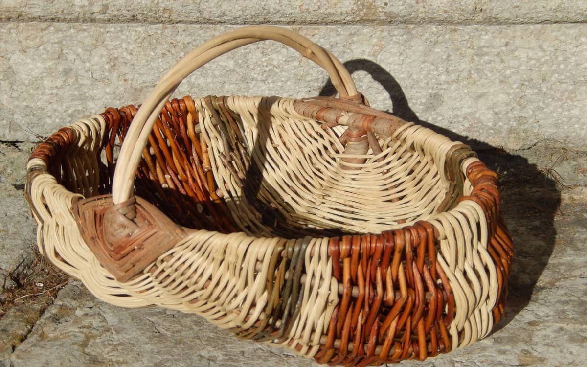 Illustration de l'événement : Stage de vannerie : le panier sur arceaux