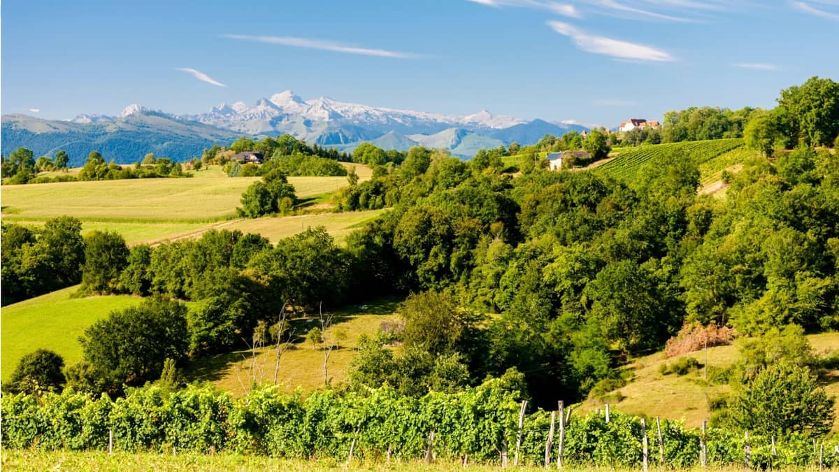 Illustration de l'événement : Evènement : Lacq-Orthez, terre de vin