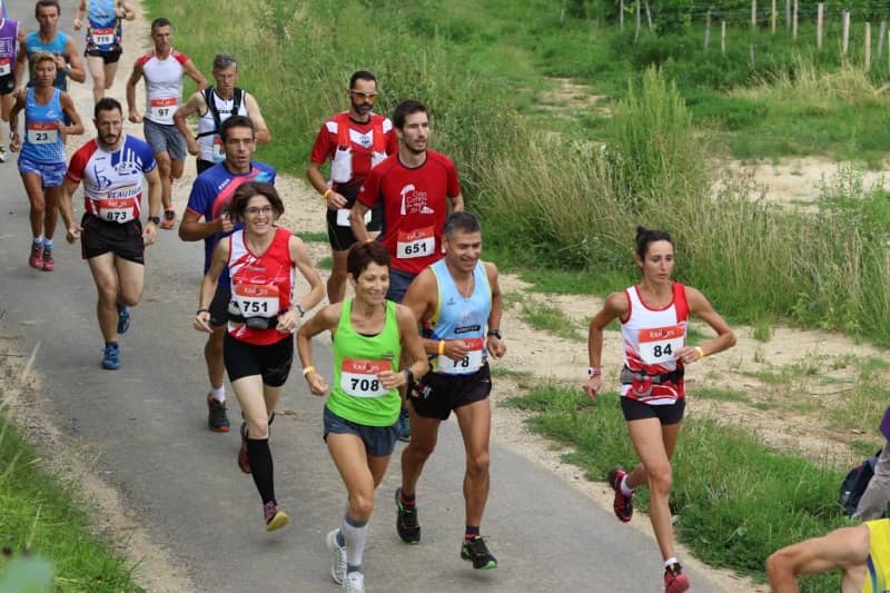 Illustration de l'événement : 3ème trail du millésime à St Laurent d'Arce