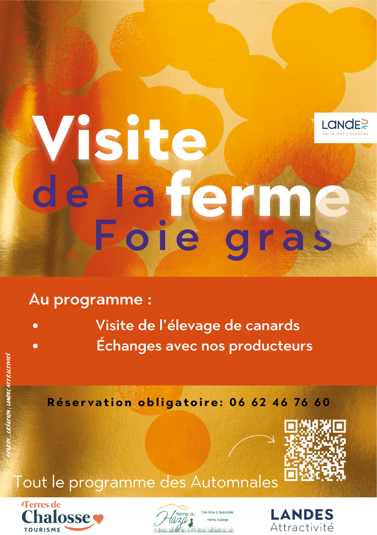 Illustration de l'événement : Atelier visite de la ferme par Marion - Les Automnales du foie gras