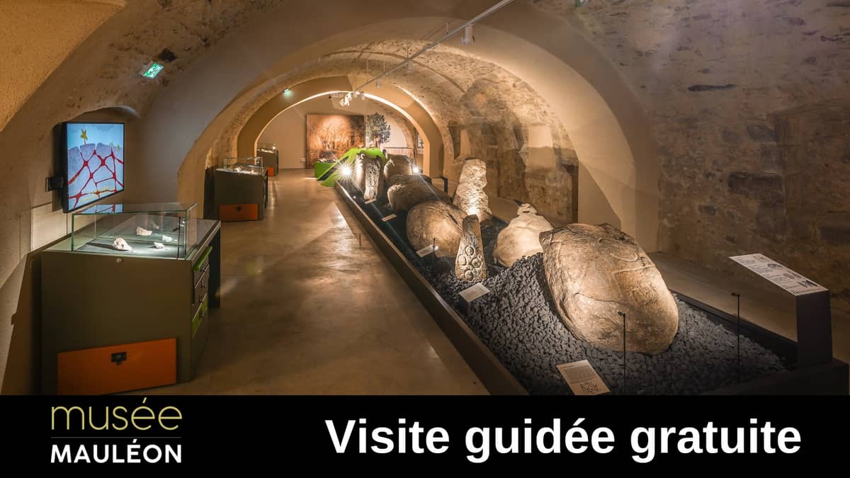 Illustration de l'événement : Visite guidée du Musée L'Abbaye