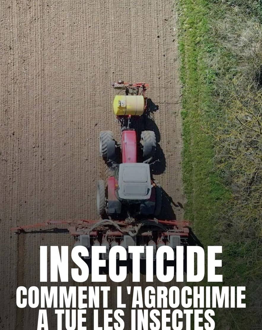 Illustration de l'événement : Séance débat avec la projection : INSECTICIDE