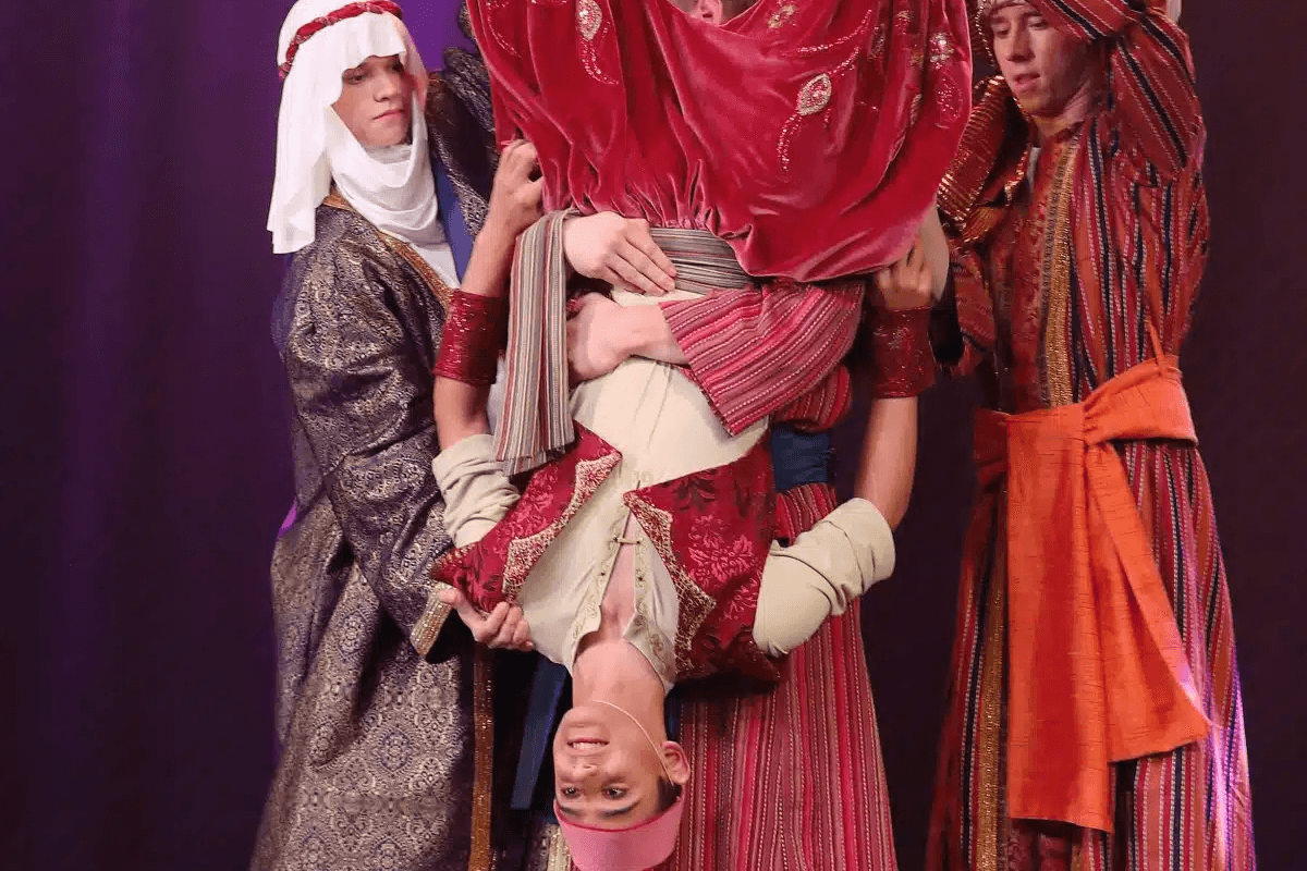 Illustration de l'événement : Cirque/danse | Aladdin