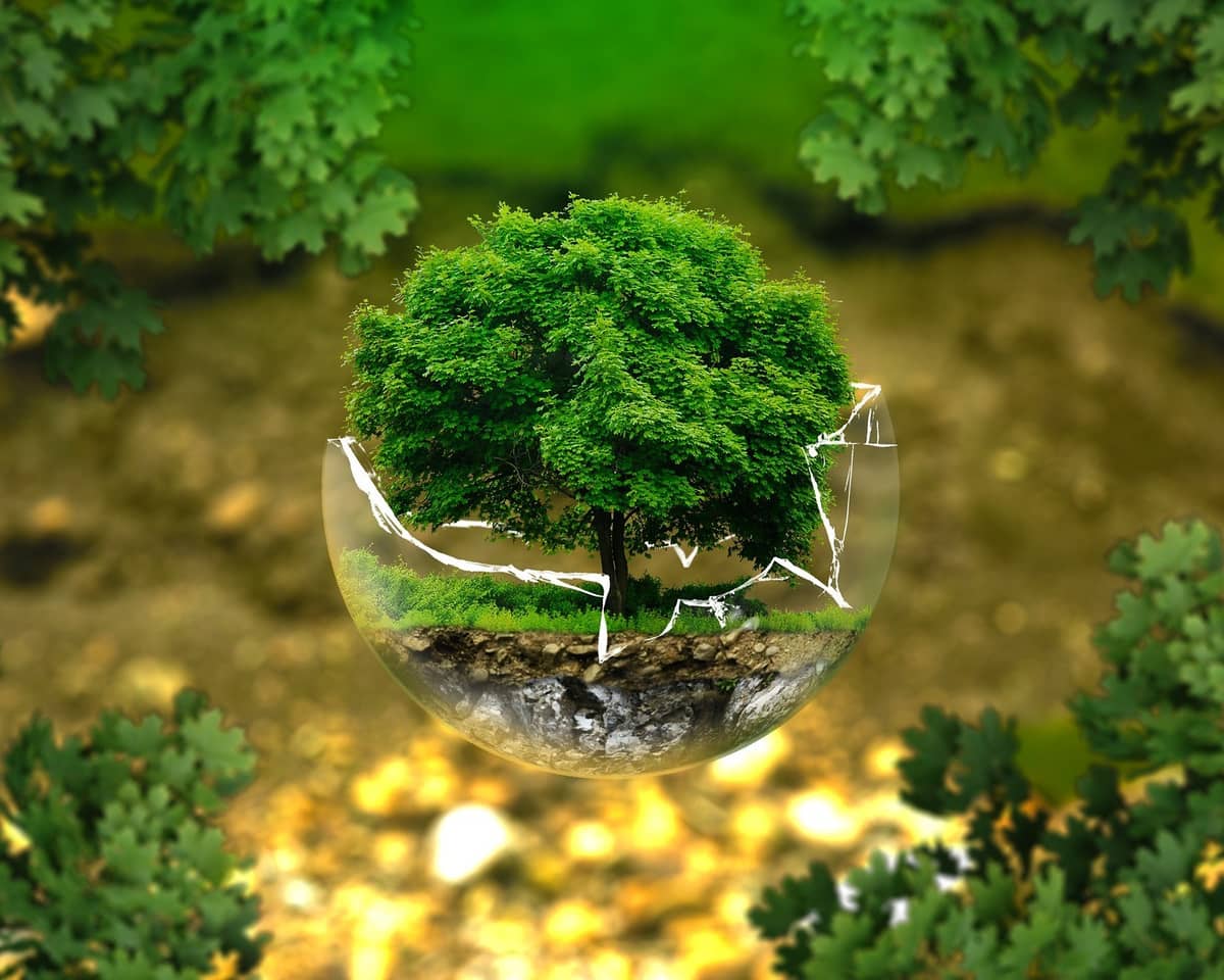 Illustration de l'événement : L'artificialisation des sols : comment inverser la tendance ?