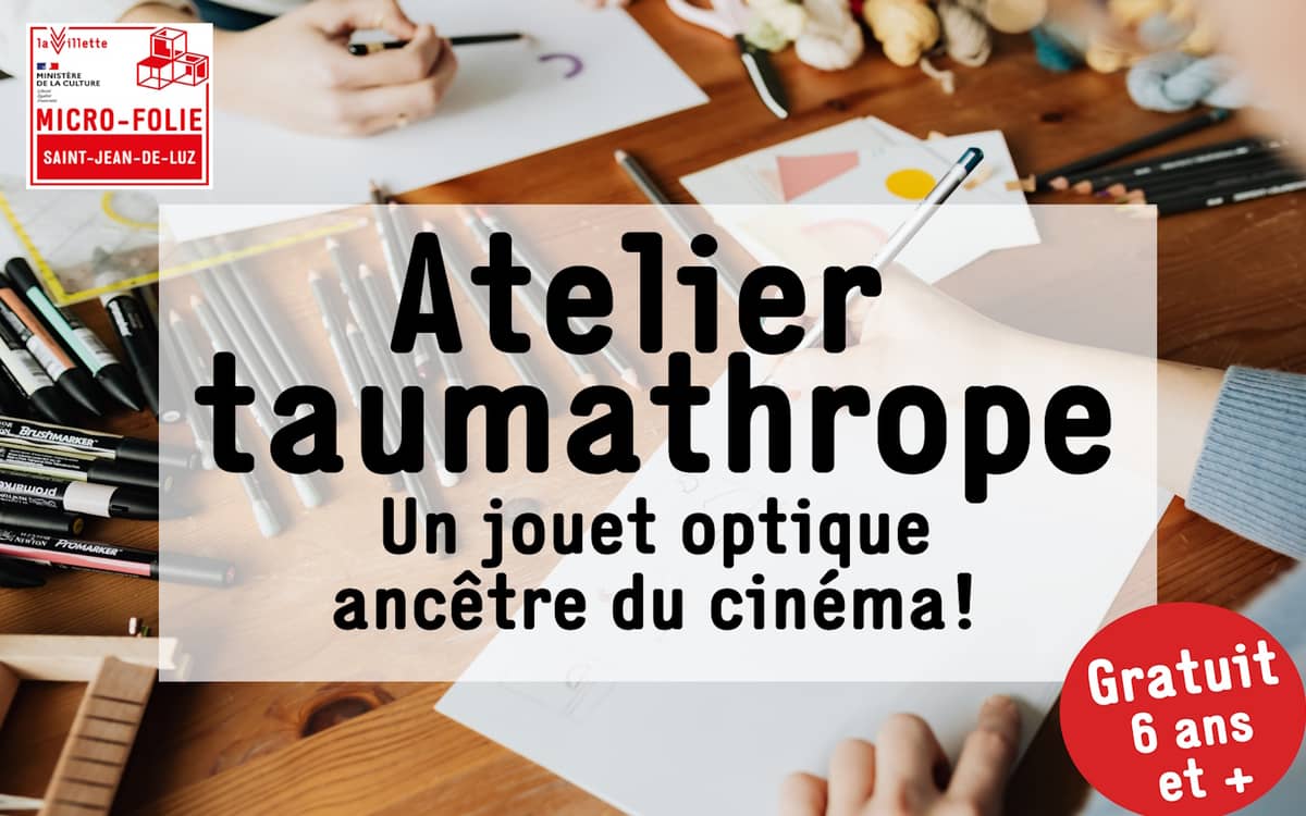 Illustration de l'événement : Micro-Folie : Atelier: Taumathrope-jouet optique
