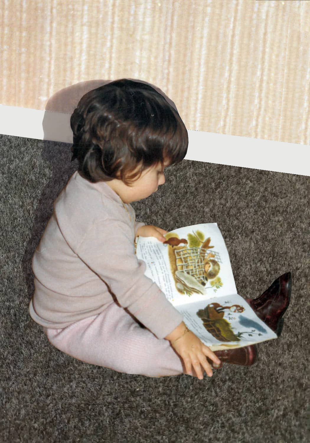 Illustration de l'événement : Animation album et tapis de lecture à la Maison du Père Castor