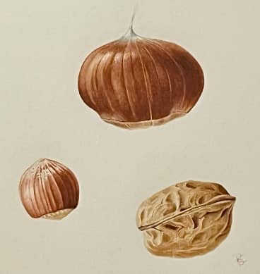 Illustration de l'événement : Festival SPOC d'Automne de Bugeat : Atelier aquarelle intergénérationnel