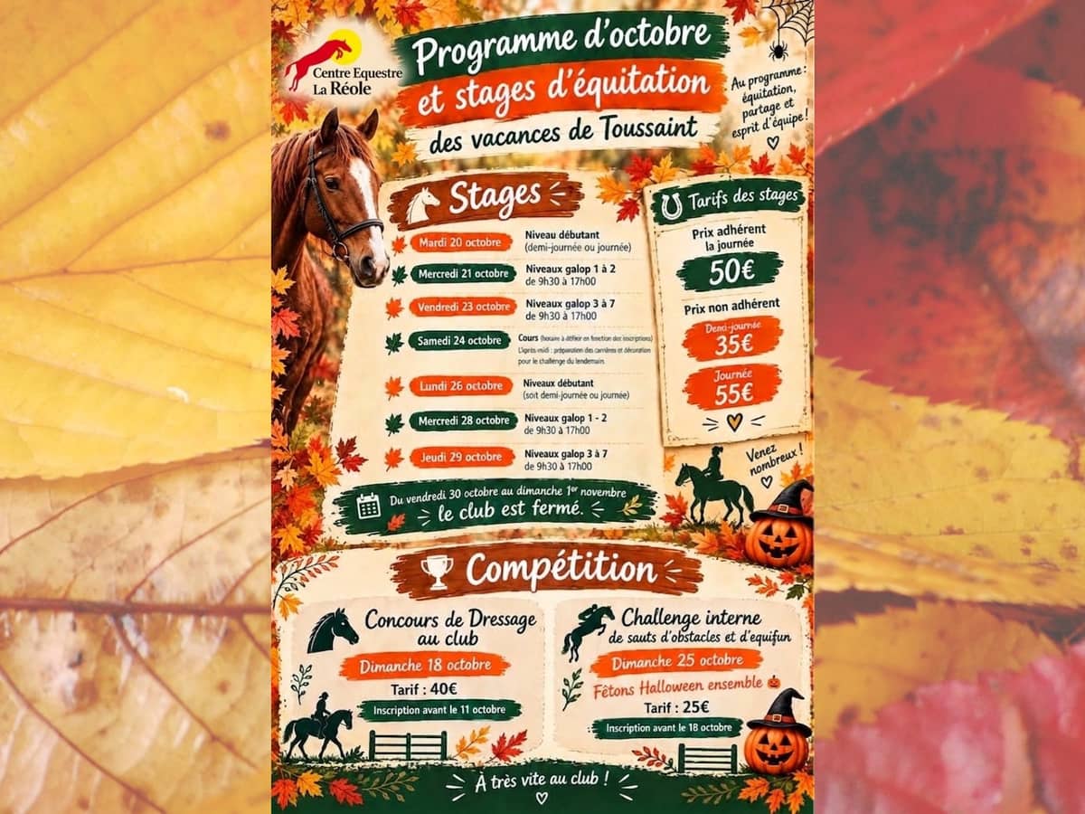 Illustration de l'événement : Concours de dressage équestre