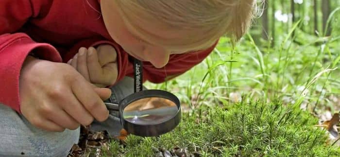 Illustration de l'événement : Animation nature en famille : Détectives animaliers
