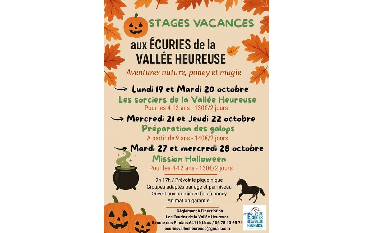 Illustration de l'événement : Stage Equitation - Ecuries Vallée Heureuse