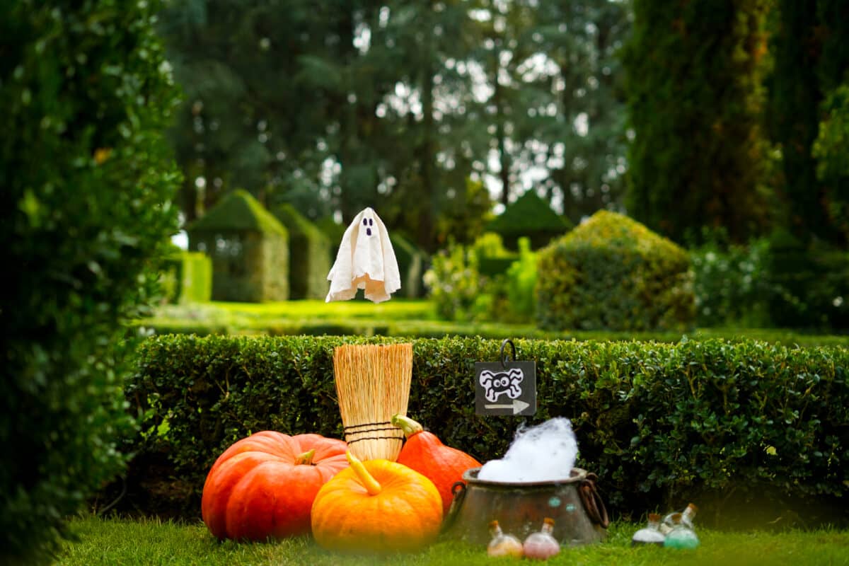 Illustration de l'événement : Les vacances d’automne aux Jardins d’Eyrignac : le défi de Carabosse