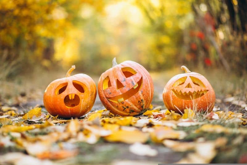 Illustration de l'événement : Halloween au Château escape game de Marzac