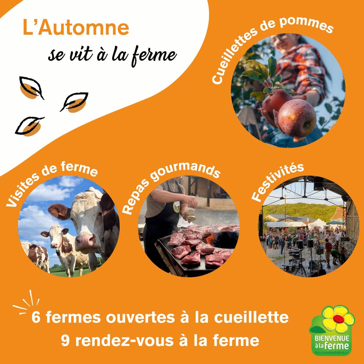 Illustration de l'événement : AUTOMNE A LA FERME