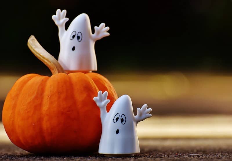 Illustration de l'événement : Happy Halloween