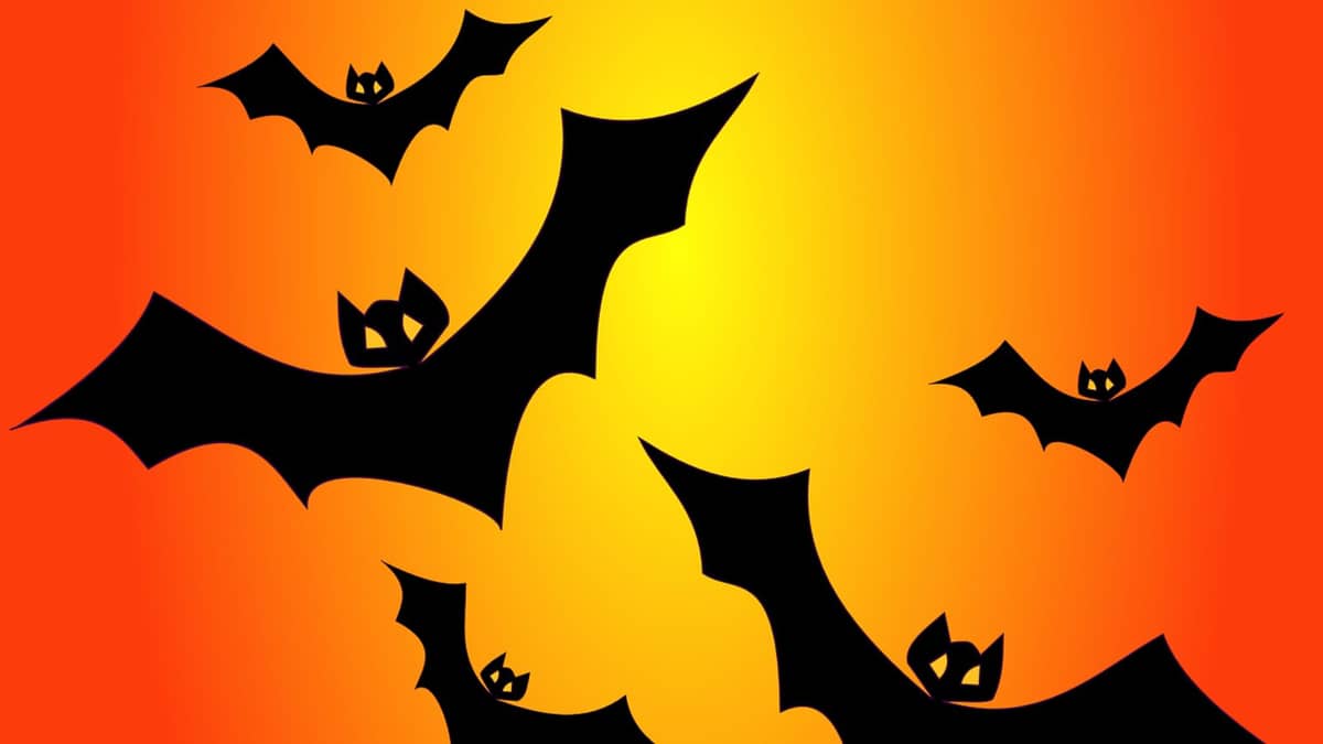 Illustration de l'événement : Halloween à La Ferme Exotique