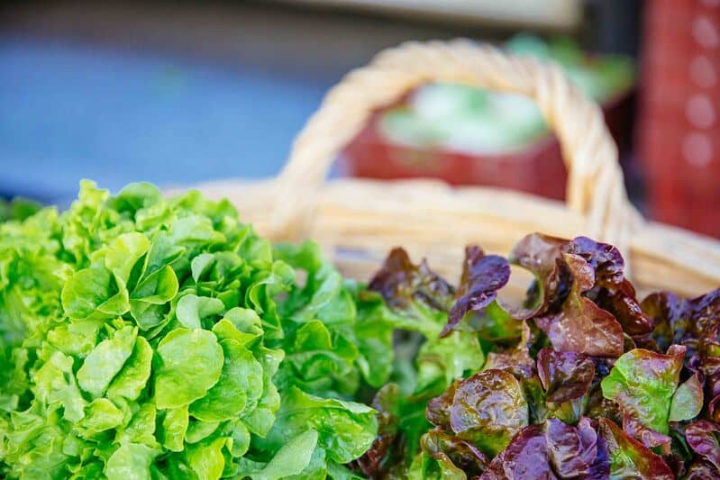 Illustration de l'événement : Marché de Préchac le mardi