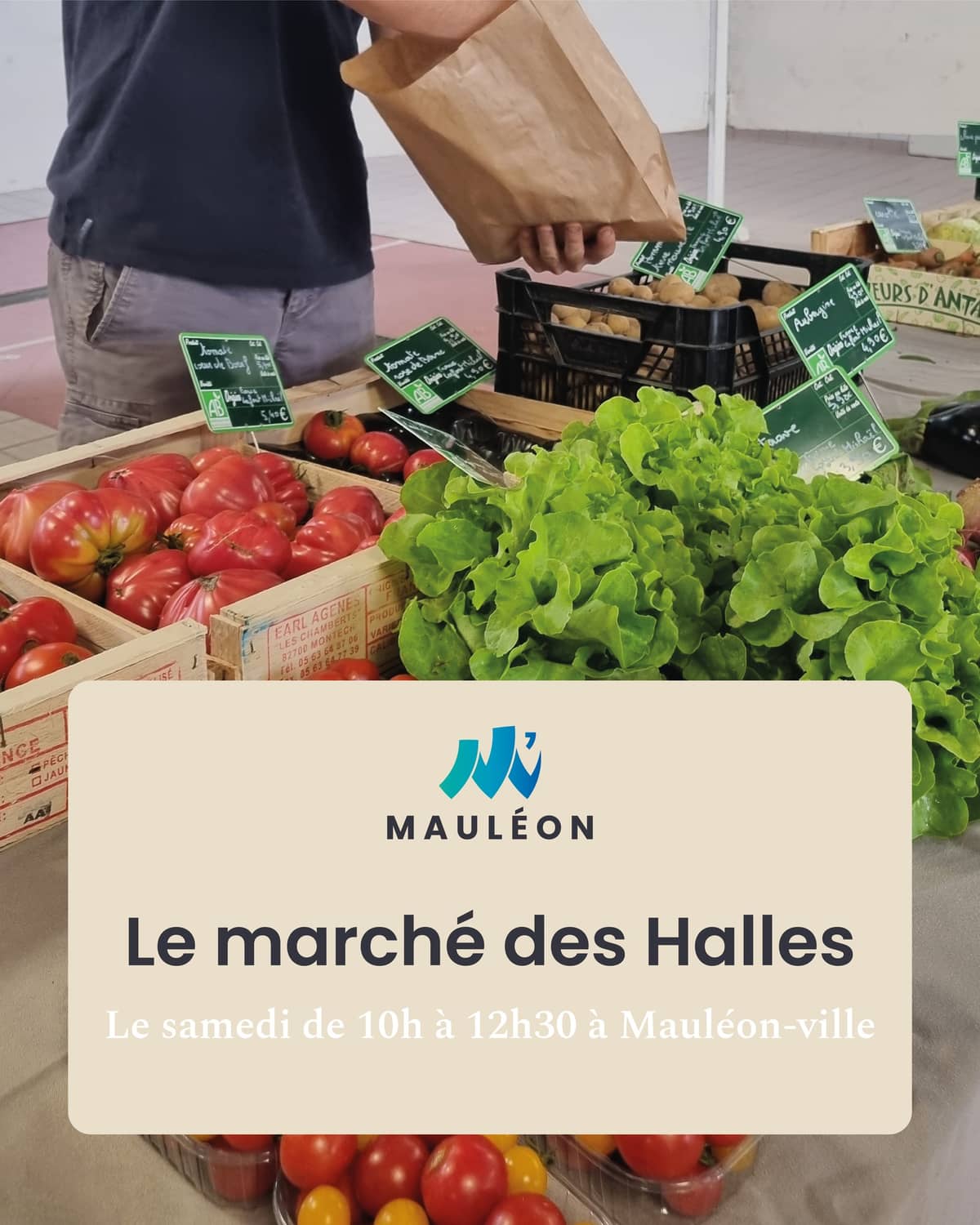 Illustration de l'événement : Marché de Mauléon