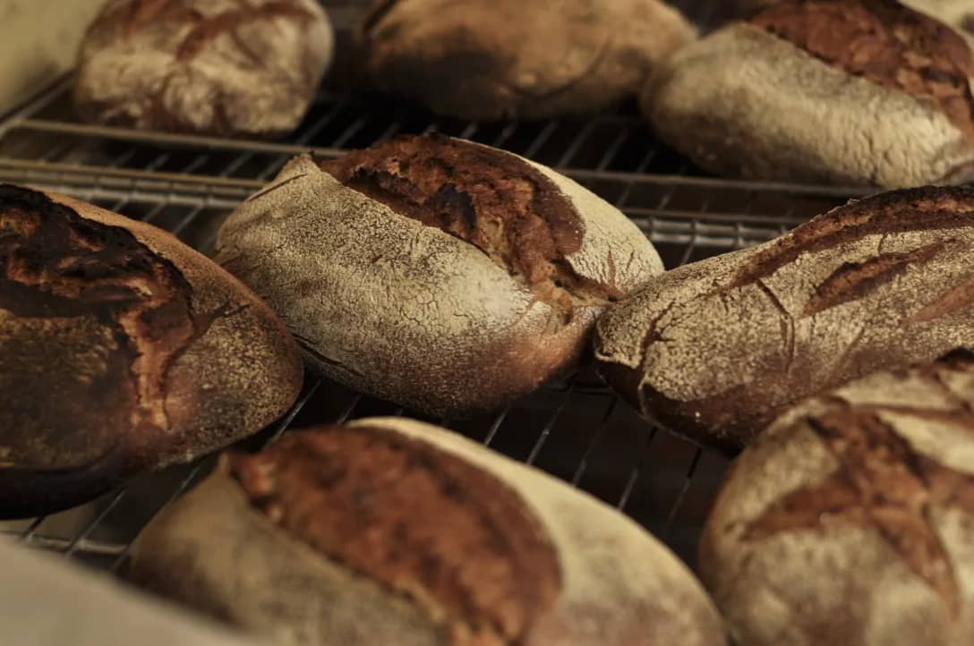 Illustration de l'événement : Atelier initiation fabrication pain au levain et balade en forêt