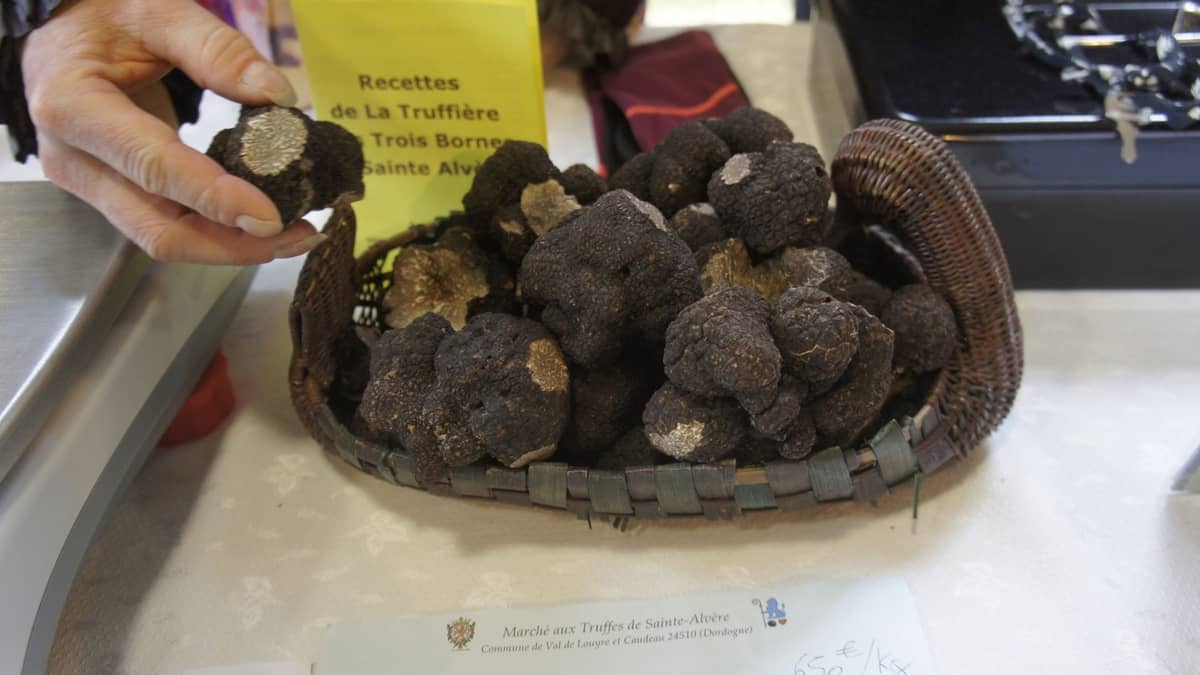 Illustration de l'événement : Marché aux Truffes de Sainte-Alvère