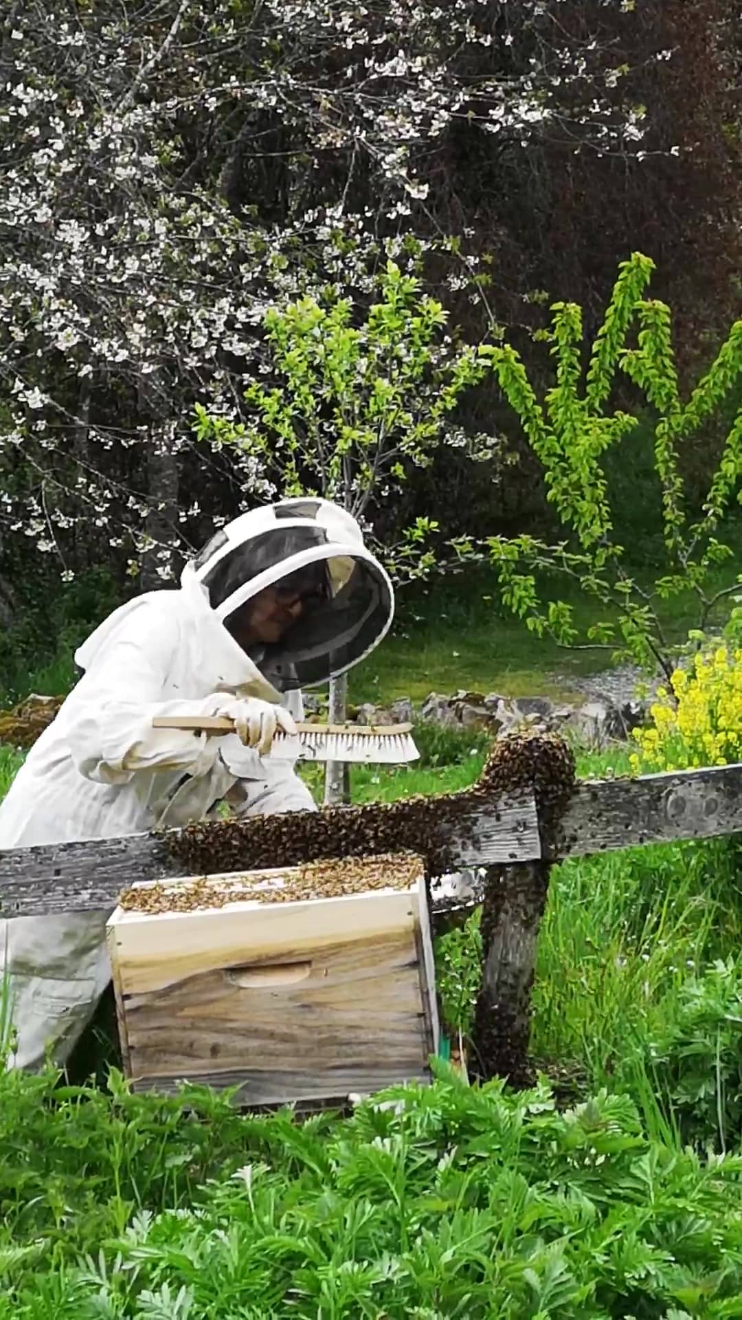 Illustration de l'événement : One Health - L'insecte, ce "médecin" de la terre !