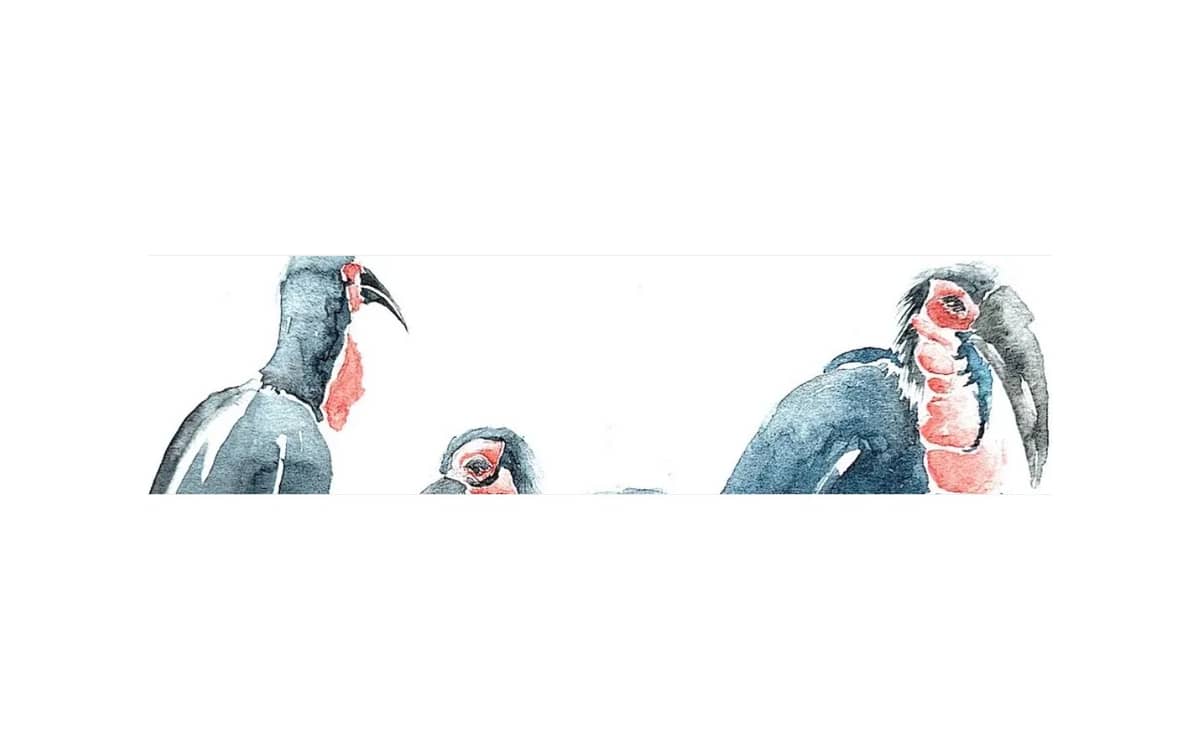 Illustration de l'événement : Stage aquarelle sur le vif
