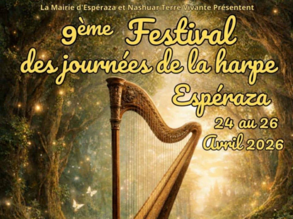 Illustration de l'événement : 9ÈME FESTIVAL DES JOURNÉES DE LA HARPE