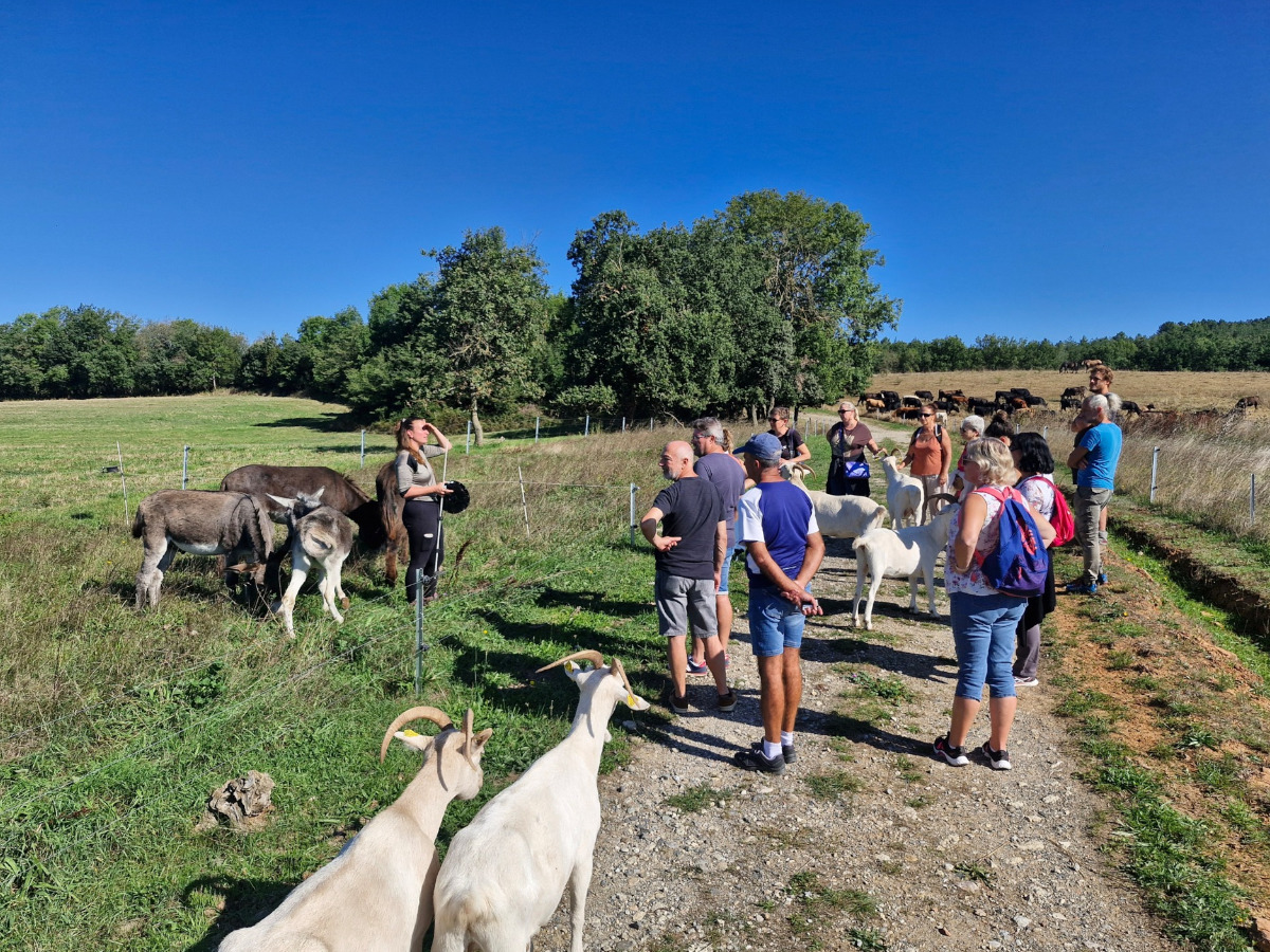Illustration de l'événement : VOYAGE DE DÉCOUVERTE DE L'ÉCOTOURISME EN HAUTE VALLÉE DE L'AUDE