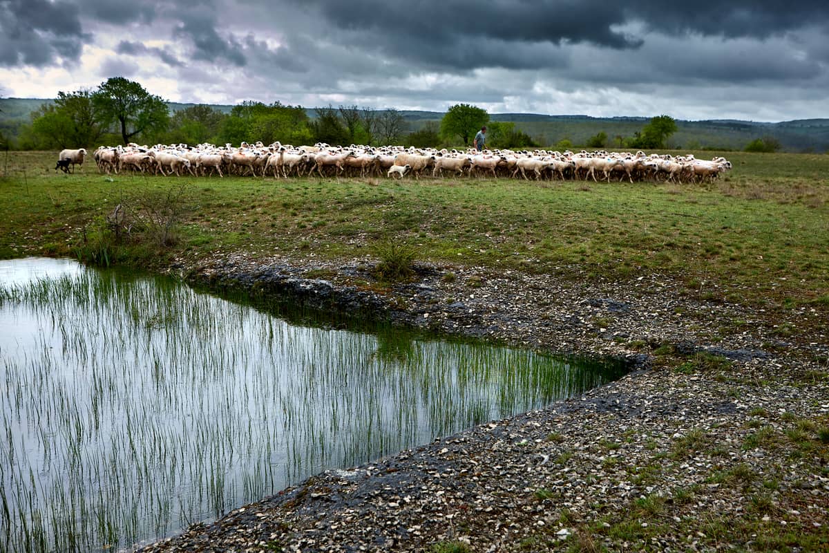 Illustration de l'événement : Exposition ParcourS, un regard sur le paysage