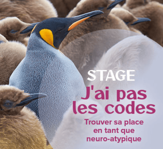 Illustration de l'événement : Stage à l'Atelier sous les Chênes - J'ai pas les codes, trouver sa place en tant que neuro-atypique
Avec Christelle Petitcollin