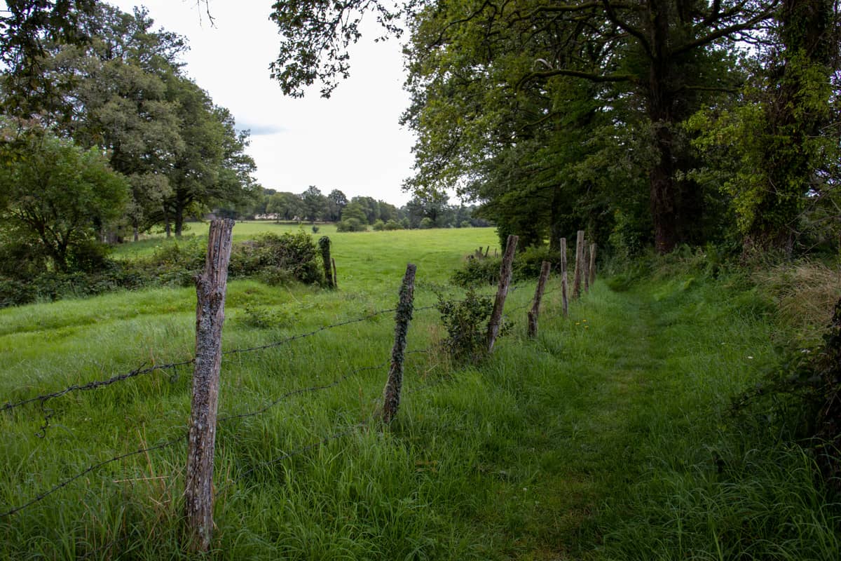 Illustration de l'événement : Randonnée douce avec Pique et Pousse en Quercy Blanc