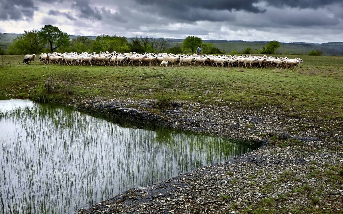 Illustration de l'événement : Regards croisés sur le paysage et la biodiversité du Mont Saint-Cyr