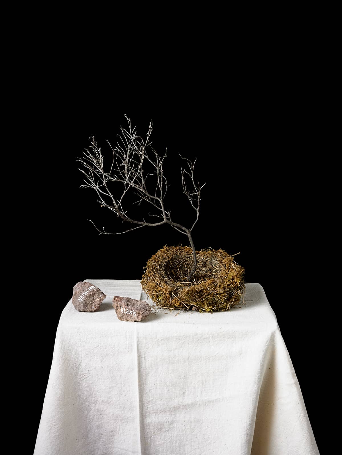 Illustration de l'événement : Soirée poésie et photographies