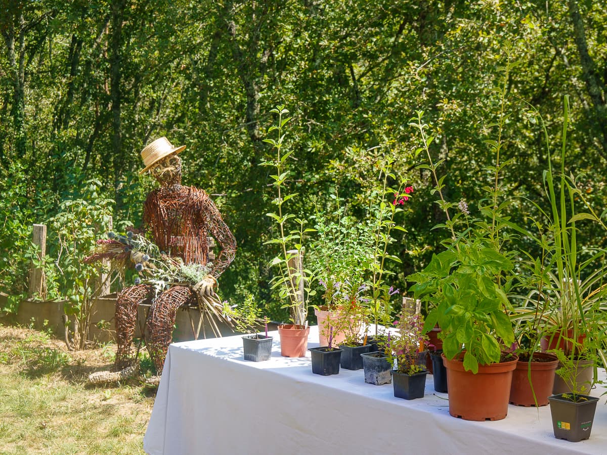 Illustration de l'événement : Allées ouvertes au Jardin Bourian