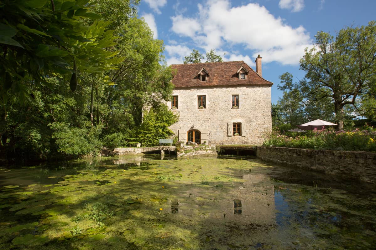 Illustration de l'événement : Pays d'Art et d'Histoire : Creysse - Visite nature LPO - Des chauves souris et des hommes, habiter le patrimoine