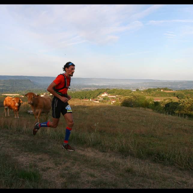 Illustration de l'événement : 13ème Trail Vallées Cère et Dordogne