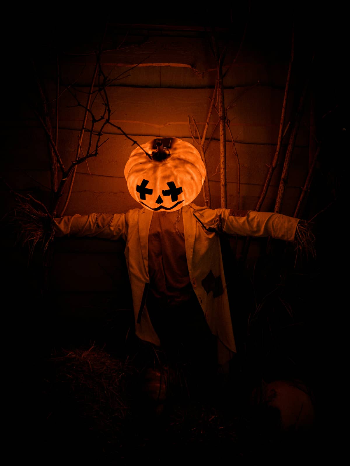 Illustration de l'événement : Halloween à Padiparc