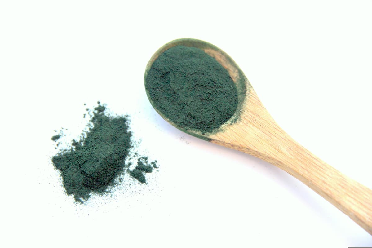 Illustration de l'événement : Conférence de Pierre Ancel : "La spiruline à l'origine de la vie"