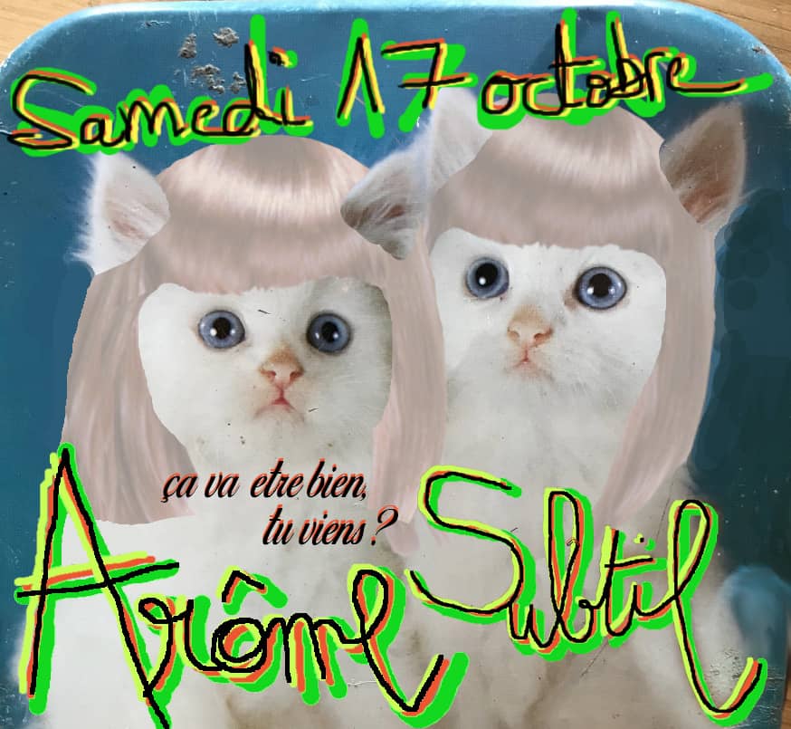 Illustration de l'événement : ARÔME SUBTIL (TECHNO ELECTROTRASH LIVE)