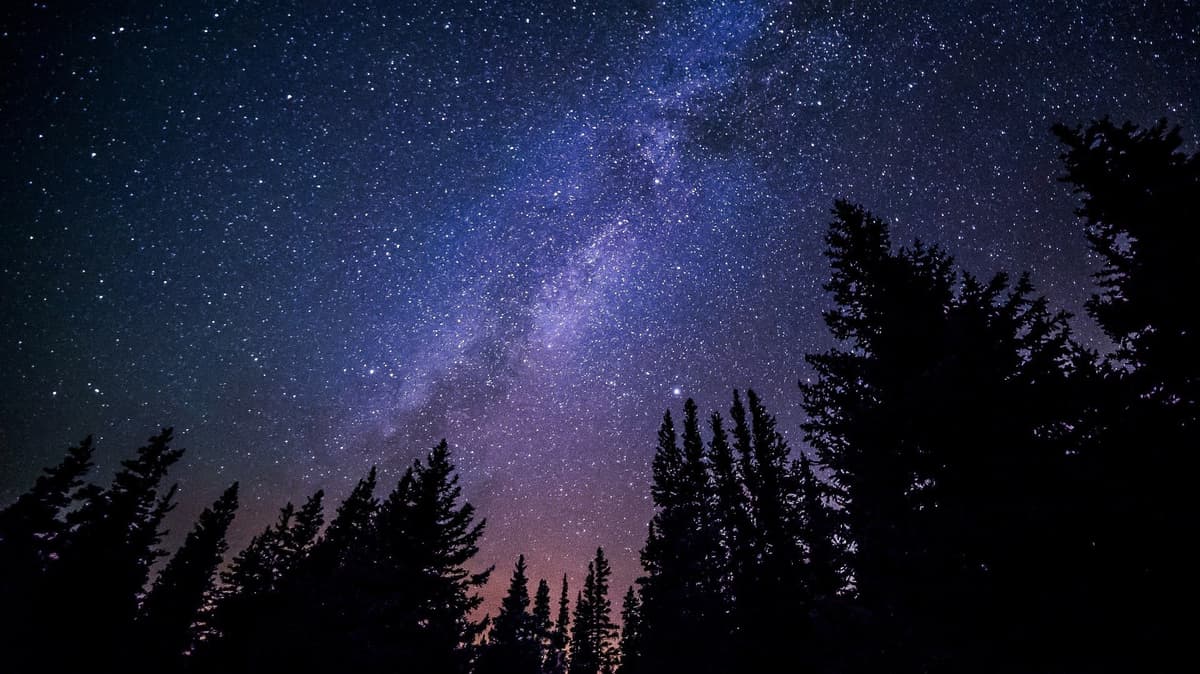 Illustration de l'événement : UN ÉTÉ AVEC LE PARC : LA NUIT RÉVÉLÉE
