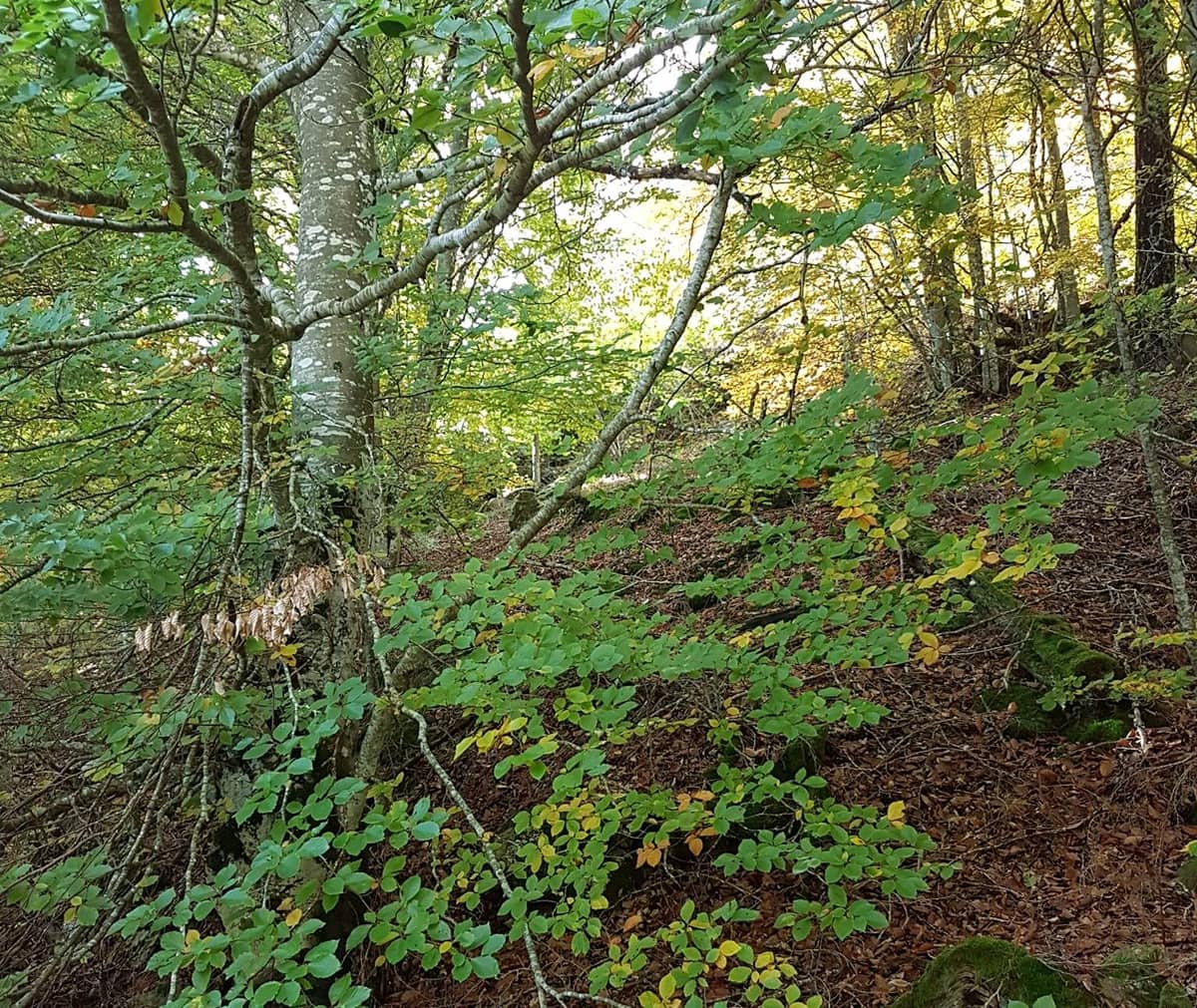 Illustration de l'événement : CHEMIN DE SOI