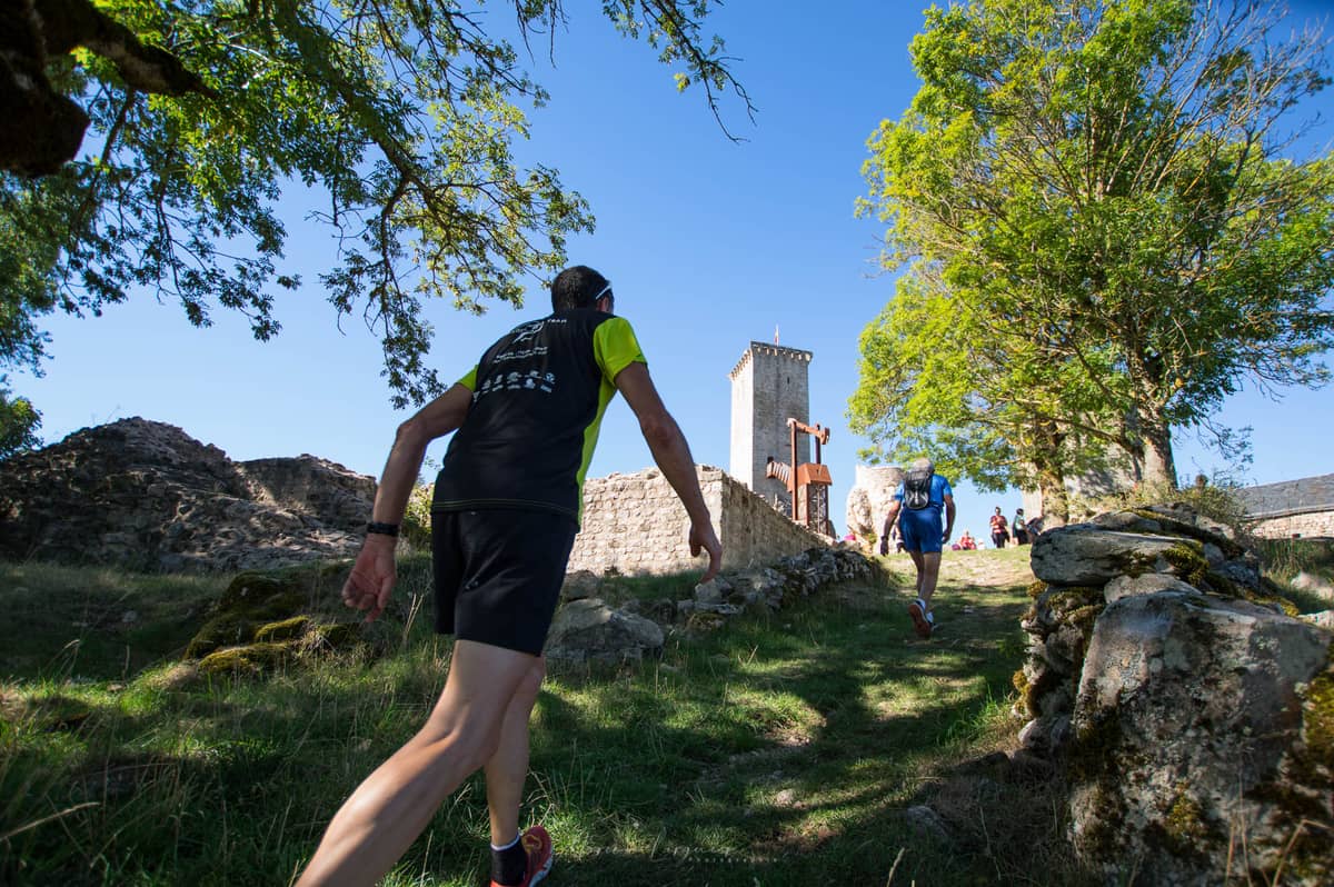 Illustration de l'événement : TRAIL DE LA MARGERIDE 2026 - "SUR LES PAS DE LA BÊTE"